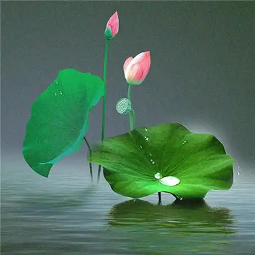 适合一辈子风景头像图片 高清值得一辈子不换的头像风景_风景微信头像