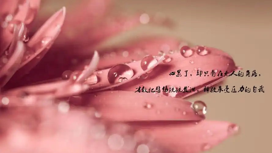 一个人心累了伤感带字图片