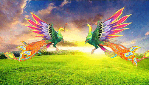 凤凰来依吉祥如意!