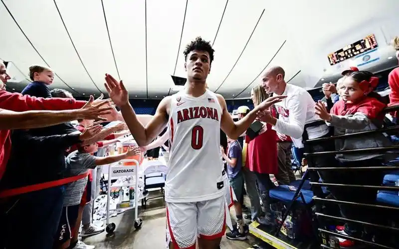 澳大利亚后卫!亚利桑那新人:约什-格林(josh green)