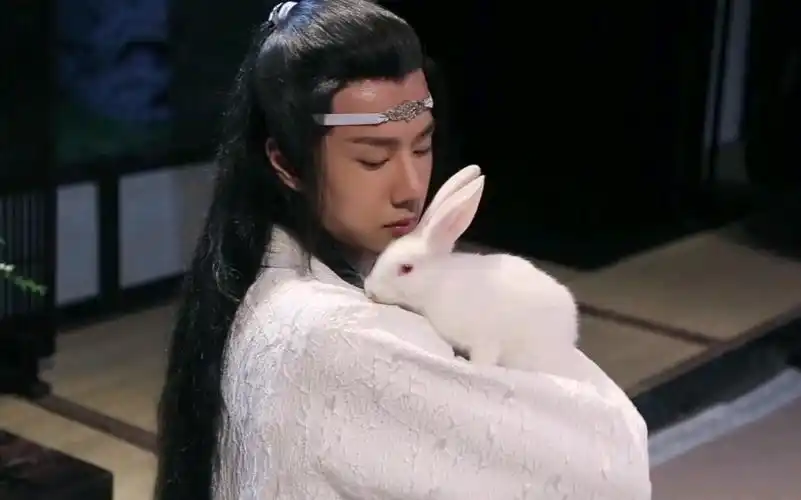 王一博——蓝忘机抱兔子【1080p】