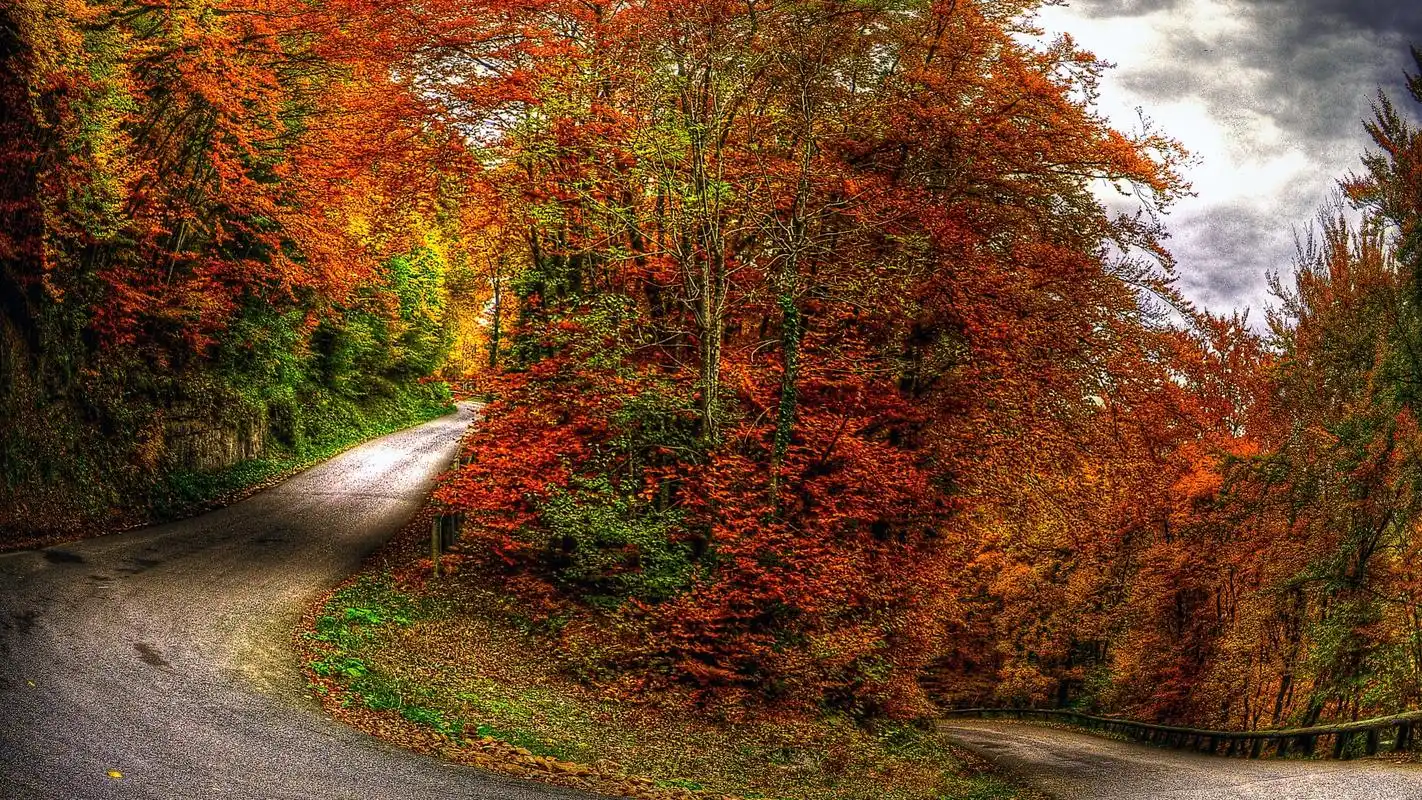 唯美秋季枫叶风景图片桌面壁纸