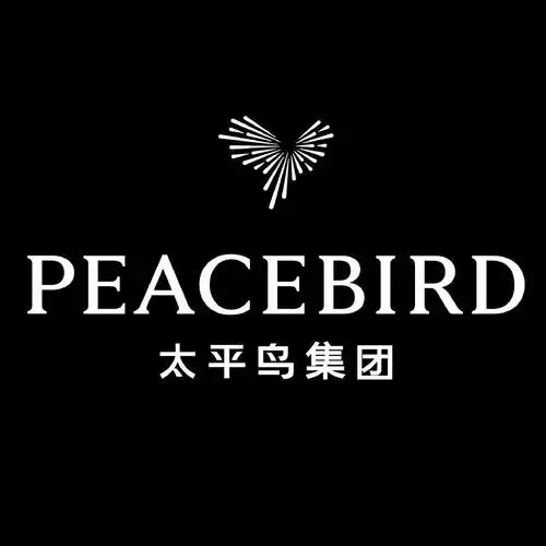 太平鸟集团