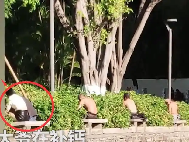 四川4名大爷光膀子坐一排安逸地晒太阳网友有没有涂防晒霜