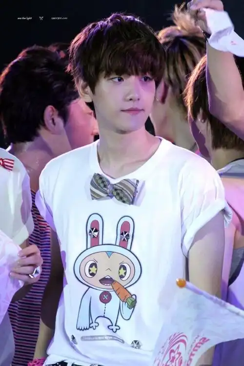 边伯贤可爱本体