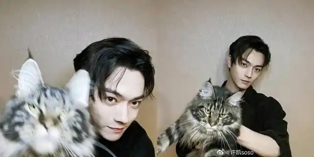 淘宝模特起家,身陷家暴黑历史,许凯与吴谨言,白鹿的关系曝光