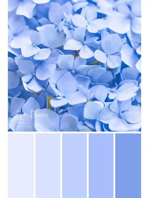 色卡分享 | 蓝色系
