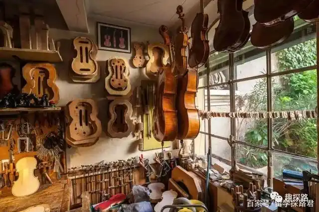 如何成为小提琴制琴师?意大利克雷莫纳国际制琴学校留学生专访