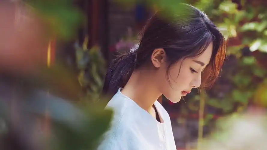 杨幂 明星风尚壁纸【1】