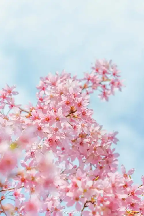 690_1035竖版 竖屏