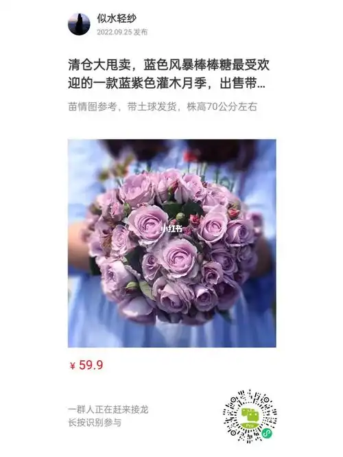 清仓大甩卖,蓝色风暴棒棒糖最受欢迎的一款