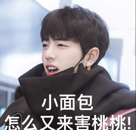 肖战分享小面包照片粉丝催工作室赶紧还债太搞笑了