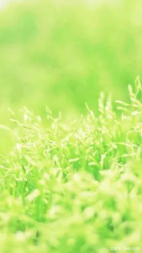 今日小清新壁纸 8月从新开始