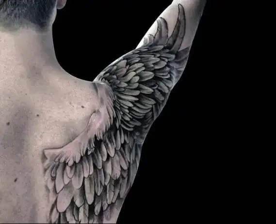 半背翅膀 机械x羽翼 这个位置做翅膀图案的很多男性后背大臂翅膀纹身