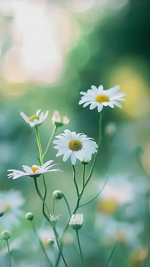 早读:善待自己,生活会更美好