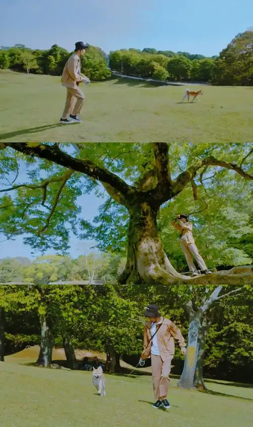 王俊凯《十九岁的时差》视频截修xcr:logo