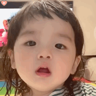 动物的动图表情包