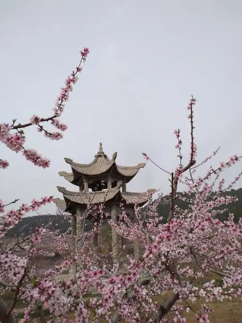 刘台桃花源景区