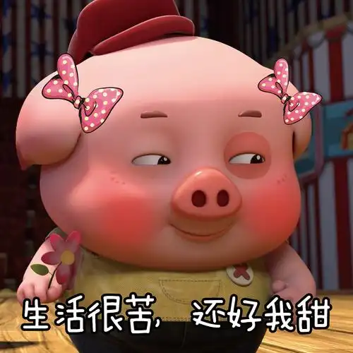 探探猫搞笑图片合集你想要的我都给你