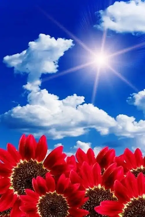 净化心灵的感悟短语,通透走心,唯美有深意