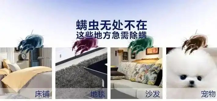 重点来了,重点来了,重点来了,生活中如何防止螨虫滋生: 房屋清洁