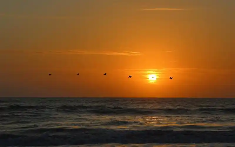 唯美的海边傍晚风景电脑桌面壁纸下载高清大图预览1280x800_风景壁纸