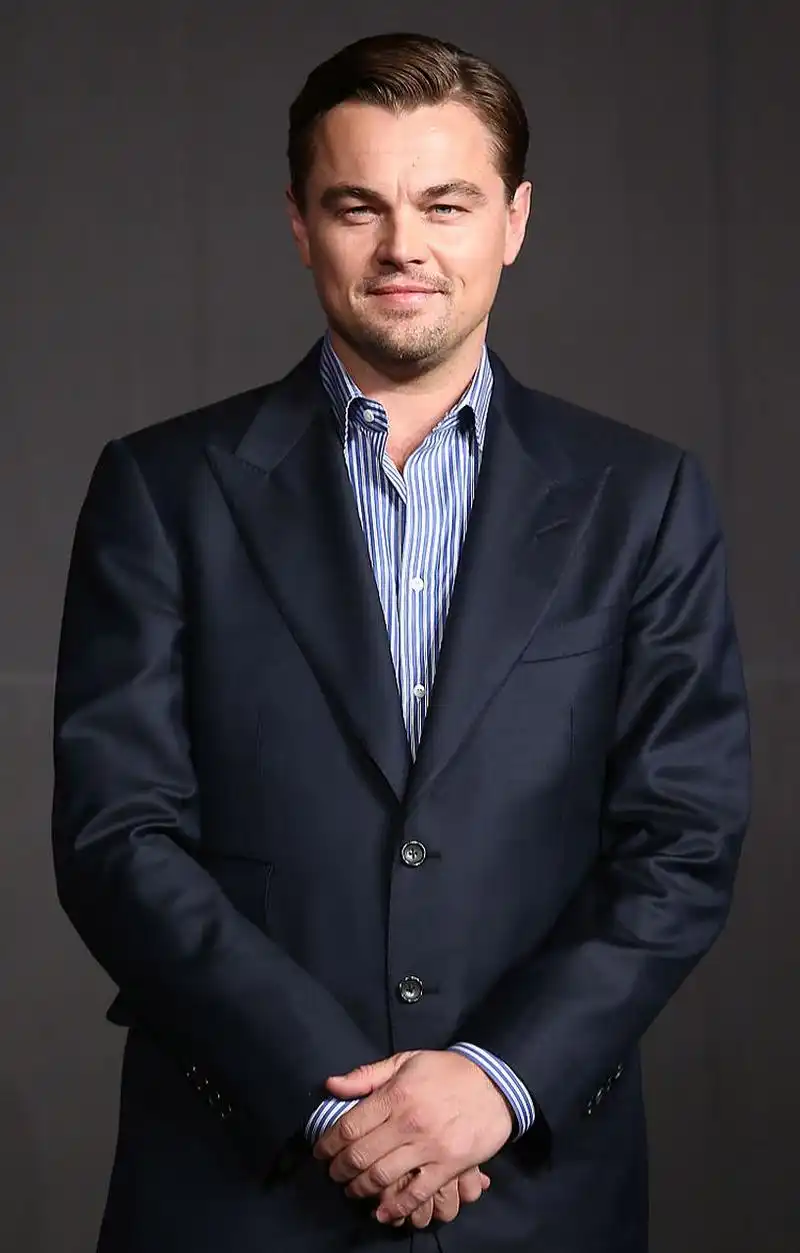 准备有时间继续刷小李子的电影!