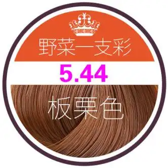 野菜一洗彩植物无刺激一支彩自己在家染发膏洗发水纯色简拉阁 板栗色
