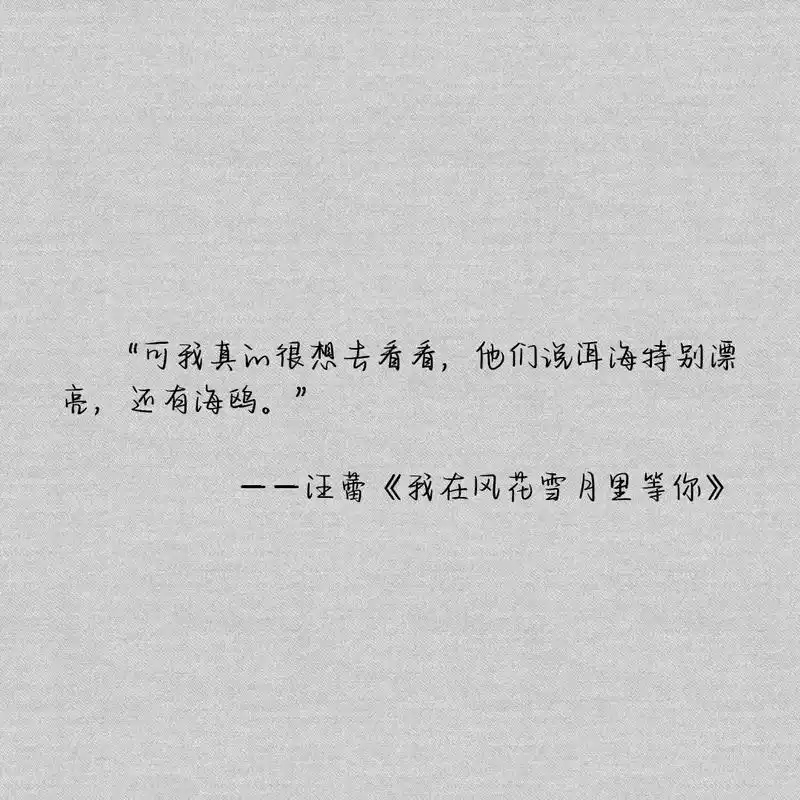 一座客栈,一座城,一生只等一个人#我在风花雪月里等你 #杨思 - 抖音