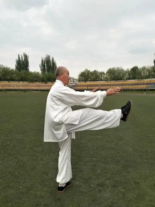 周建国73式孙式太极拳图片 - 美篇