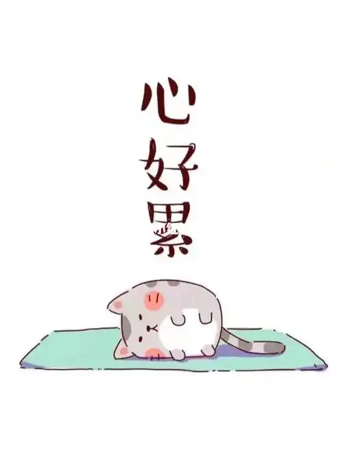 昨天才說還沒拿到年終獎剛剛拿到了 算了一下連一個月的薪水都沒有到