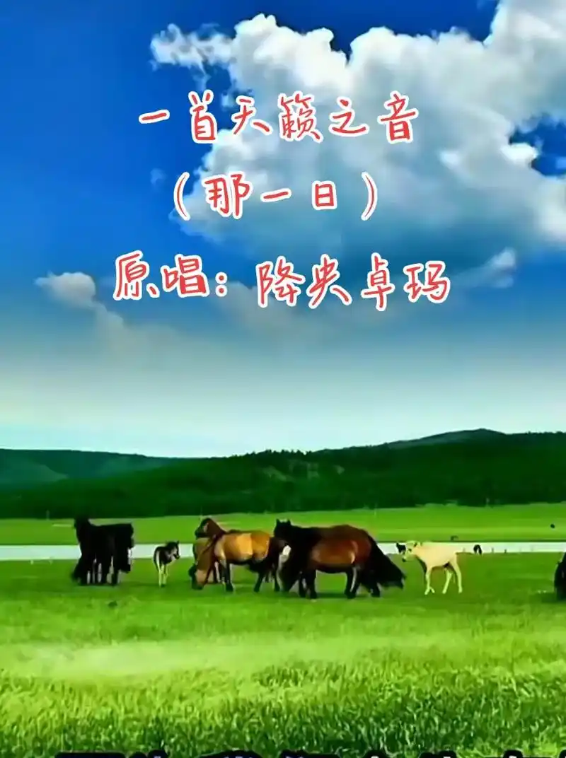 降央卓玛:最好听的一首歌,能让心灵安静,能入心的天籁之音!分 - 抖音