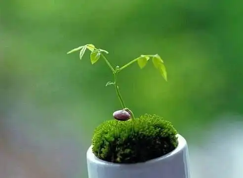 爱的唤醒:净化心灵,重整内在能量,再出发!