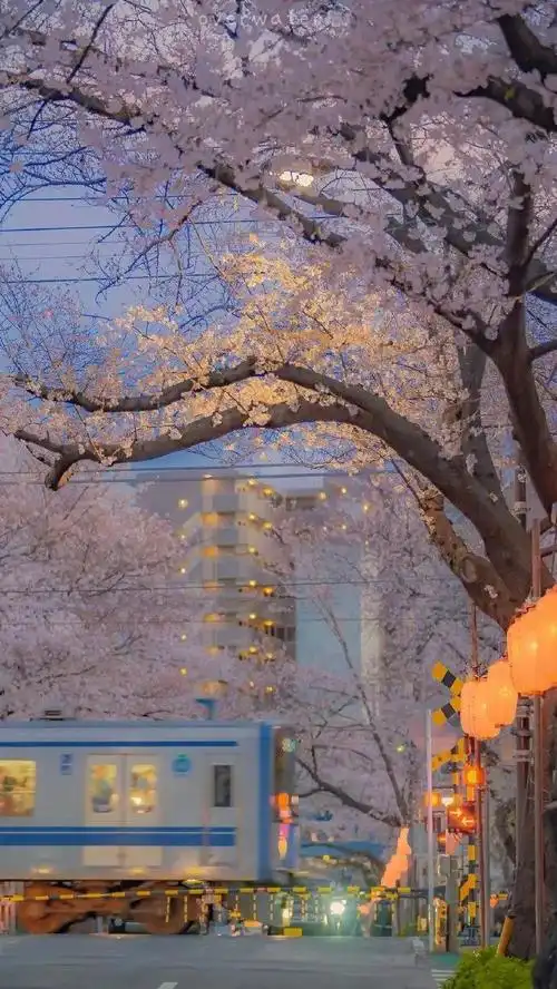 旅游的文案怎么写(简短有意境的旅游文案推荐) | 文案咖网_【朋友圈