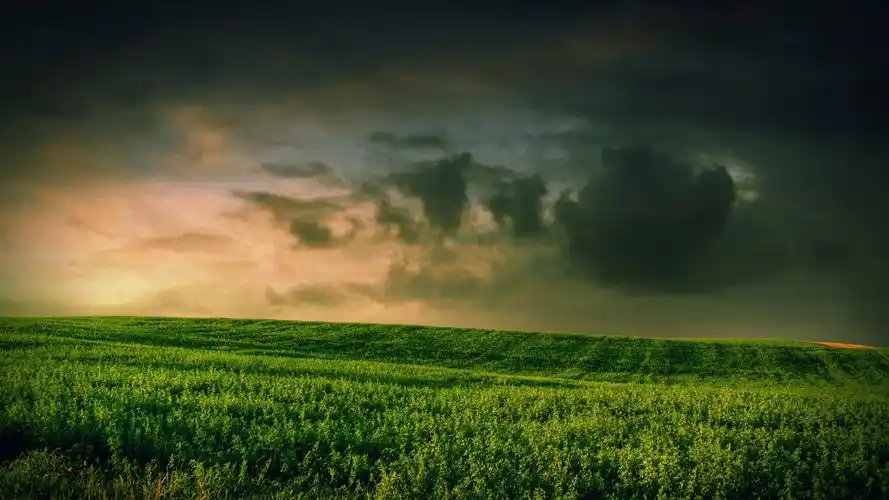 护眼壁纸【71】壁纸是一款电脑壁纸,属于小清新分类