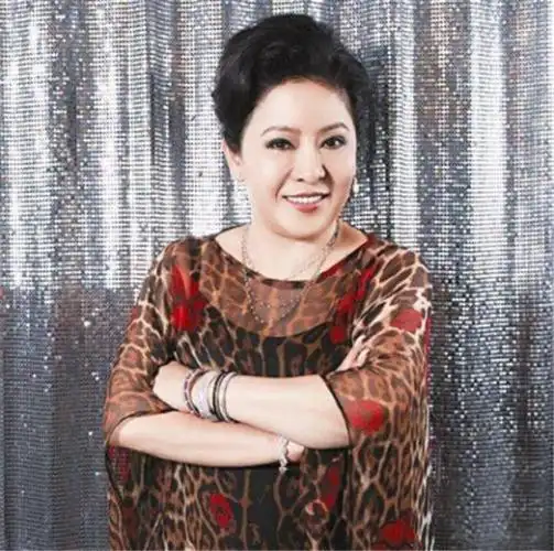 向华强太太陈岚一个让向华强离不开的女人