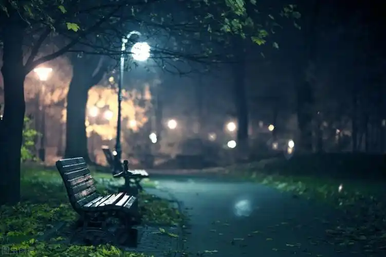 深夜辗转难眠的孤独句子孤独的人最喜欢假装忙碌