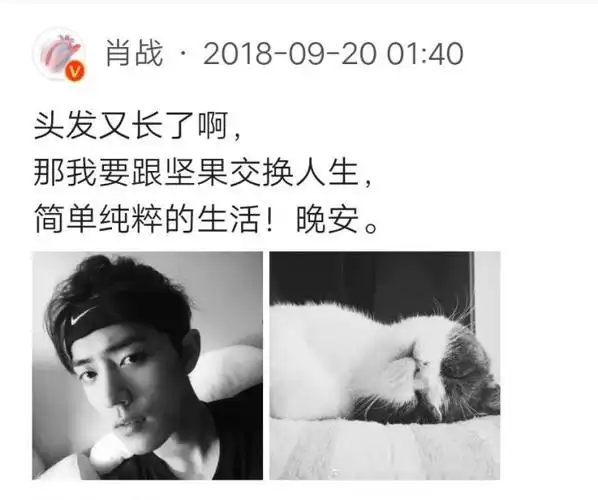 整理了一些肖战说过的话,真的觉得特别佩服他,说出的话很有哲理,你会