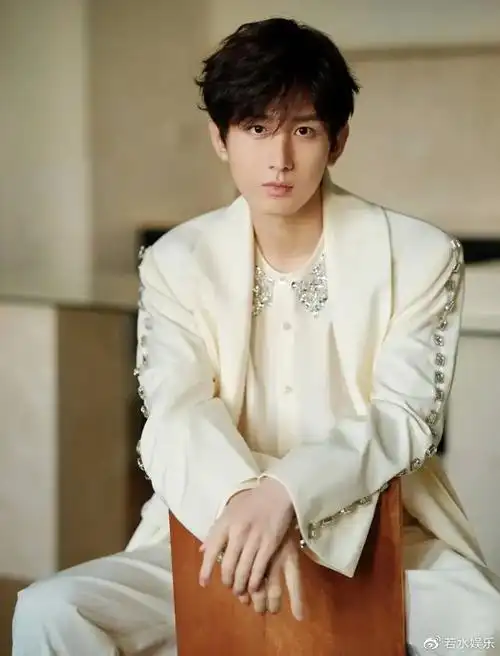 外网票选中国最帅男星!吴磊赢王鹤棣,王一博赢杨洋,冠军顶级帅哥