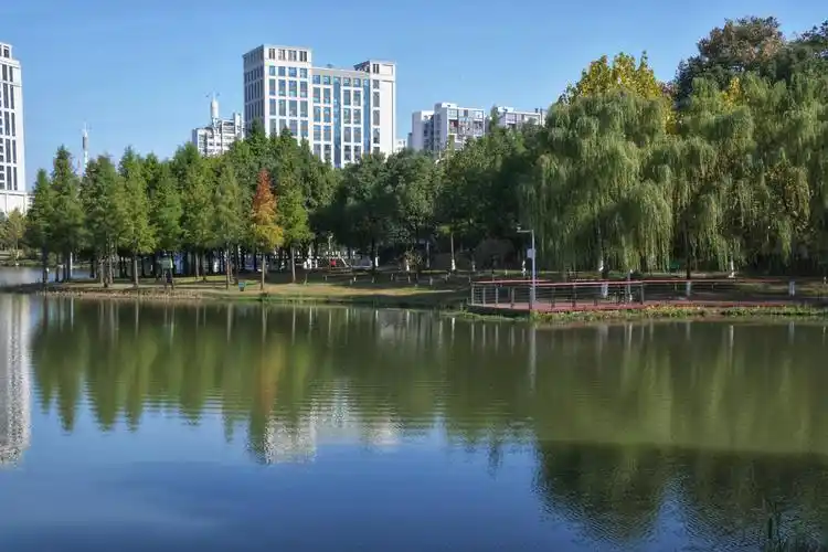 金秋时节,常德白马湖公园里面的风景随着时间变化,亮丽着不同的颜色