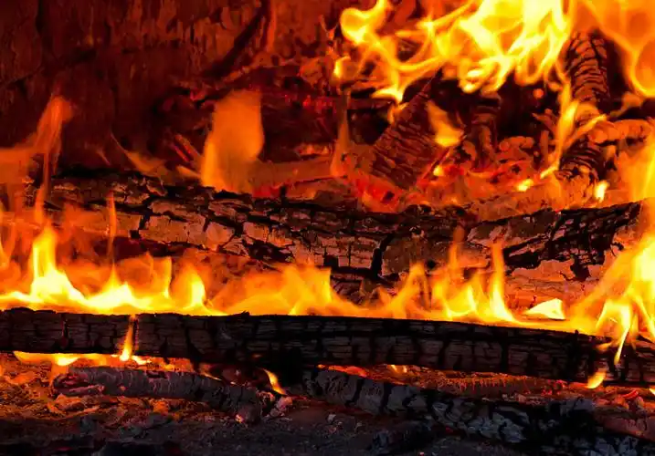 燃烧,树,火图片_燃烧,树,火高清图片_全景视觉