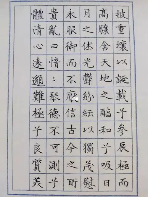 小楷硬笔练习day10琴赋