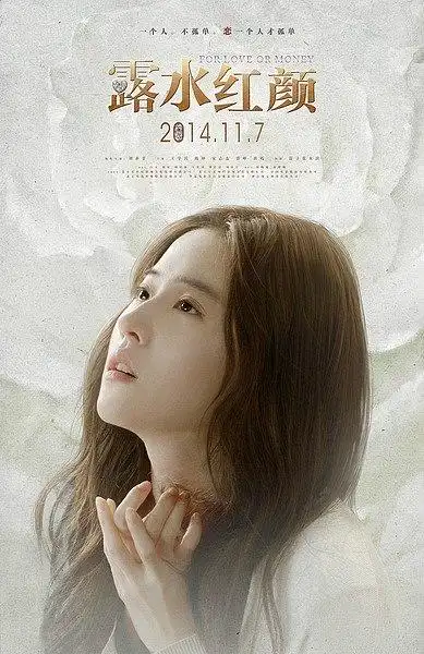 20141117露水红颜海报