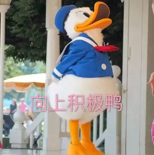 向上积极鸭 - 要像唐老鸭一样笑口常开鸭_唐老鸭表情