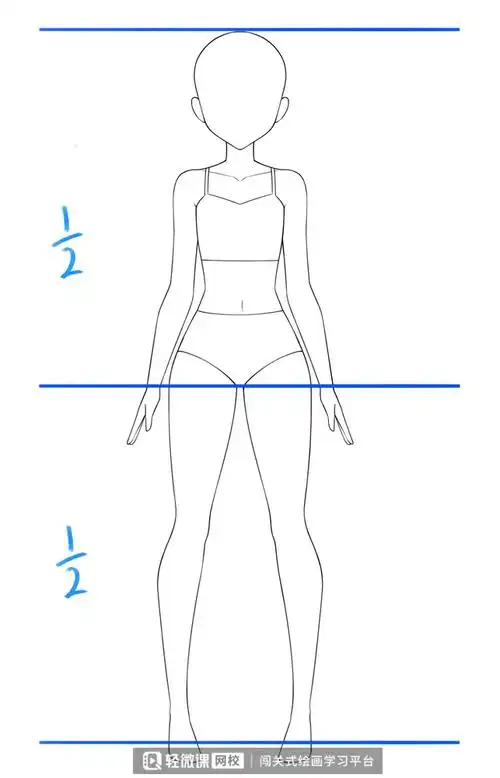 二次元动漫人体教程!_绘画_胸腔_比例