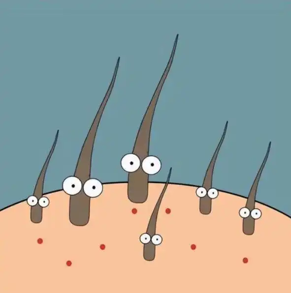 毛发作为人体最常见的部分,在人类历史中的角色一直被轻视了.