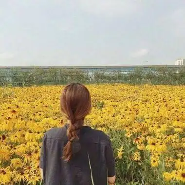 qq唯美头像女生背影伤感图片大全可爱美图