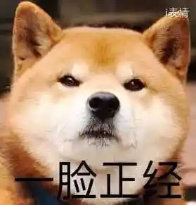 表情包就找i表情