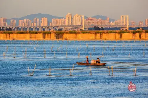 黄昏@东莞虎门沙角电厂