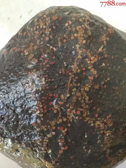 洛阳精品梅花石原石"双喜临门"(红梅,白梅共聚枝头齐报喜,重38斤)